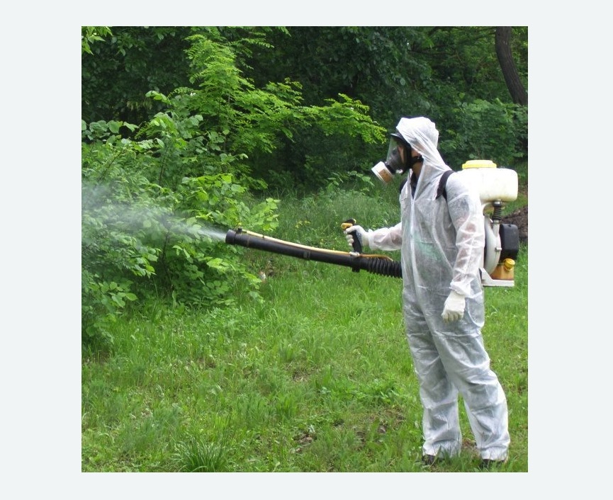 обработка дачи от клещей обработка территории от клещей в Нолинске