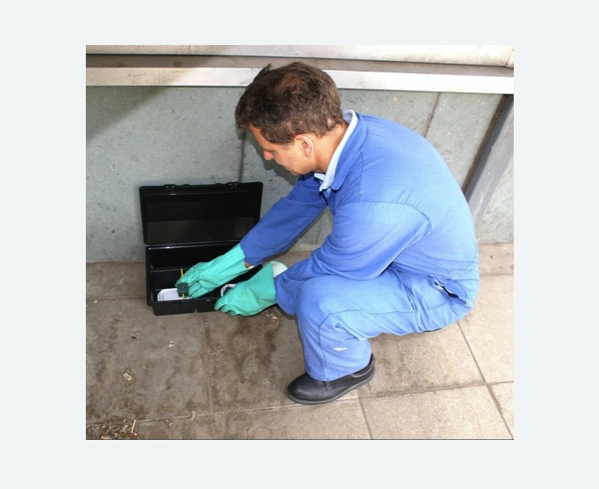 Дератизация помещения в Нолинске Дератизация помещения