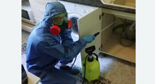 Уничтожение муравьев в квартире. Нолинск