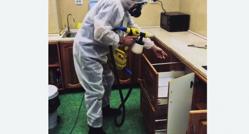 Уничтожение насекомых в квартире. Нолинск