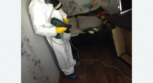 Обработка квартир от насекомых в Нолинске