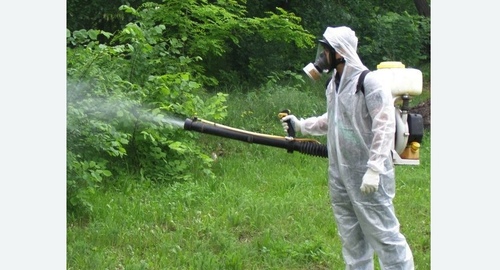 Дезинфекция территории от клещей. Нолинск