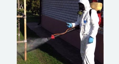 Уничтожение клещей на участке в Нолинске