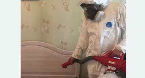 Уничтожение клещей в квартире. Нолинск