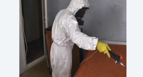 Дезинсекция насекомых в Нолинске