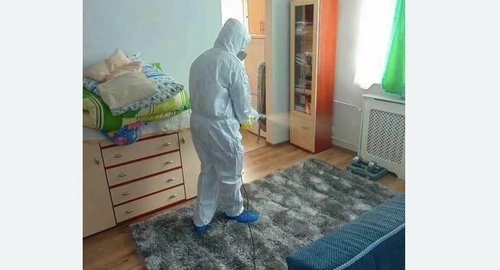 Дезинфекция блох