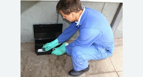 Уничтожение мышей. Нолинск