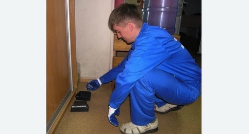 Обработка от крыс в Нолинске