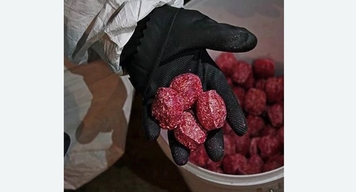 Травля крыс. Нолинск