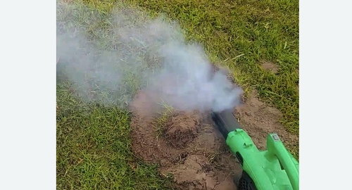 Обработка от кротов в Нолинске