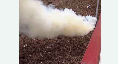 Уничтожение кротов на участке в Нолинске