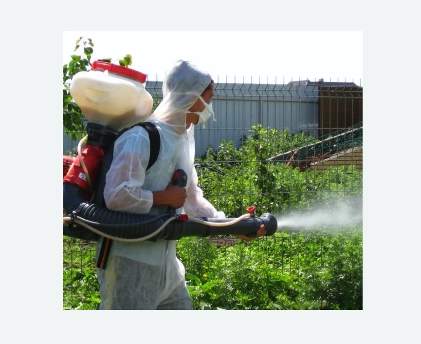 Акарицидная обработка территории в Нолинске