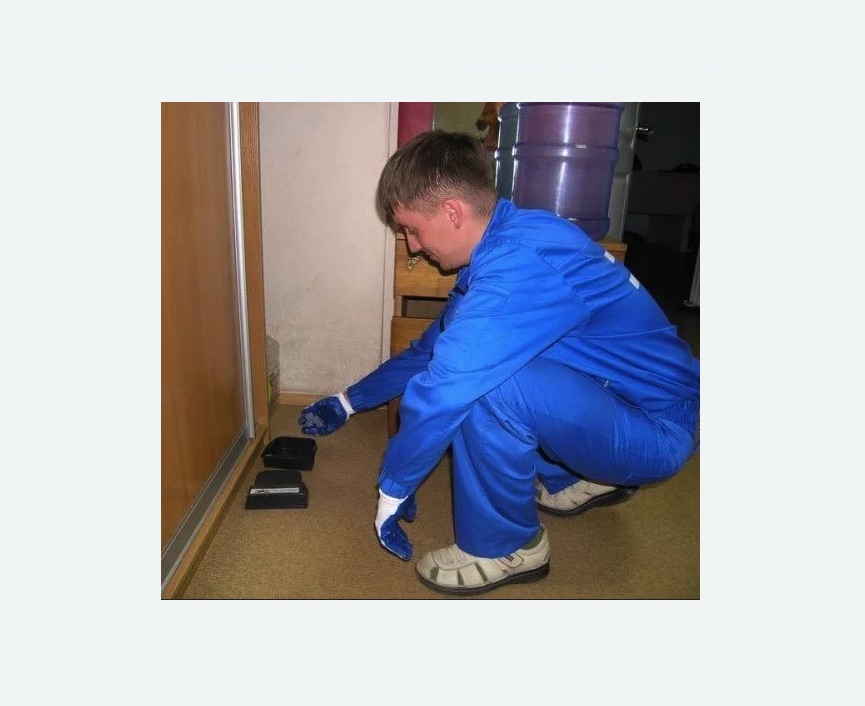 Дератизация крыс в Нолинске