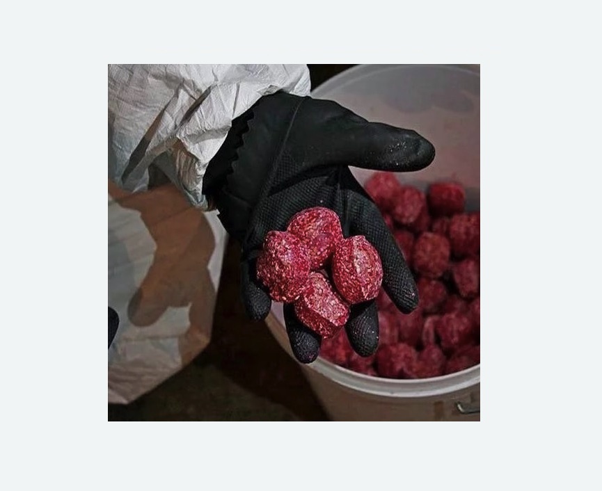 Обработка от крыс в Нолинске