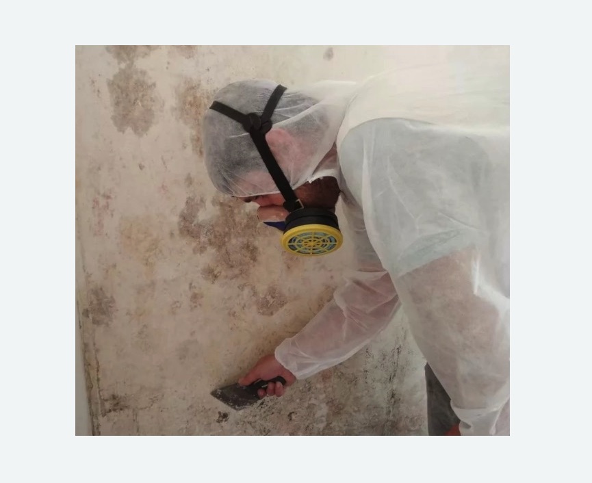 Обработка стен от плесени в Нолинске