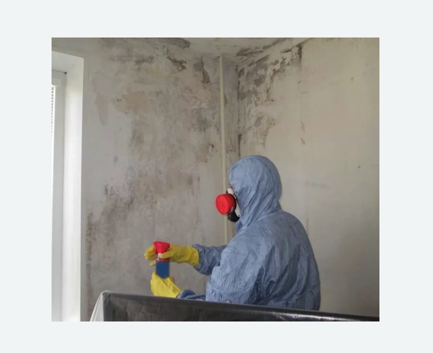 Удаление плесени в квартире в Нолинске