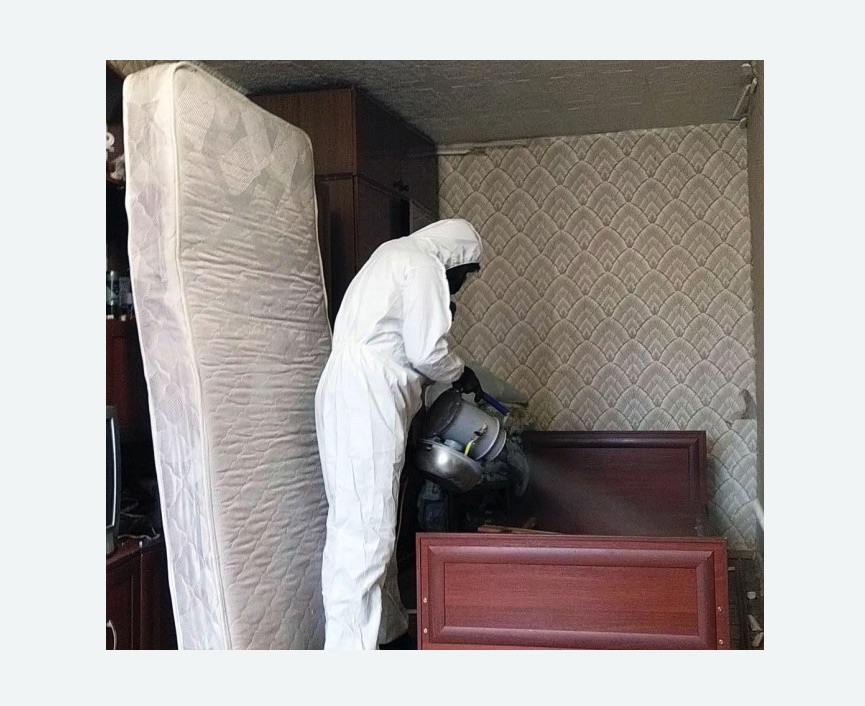 дезинфекция от клопов в Нолинске