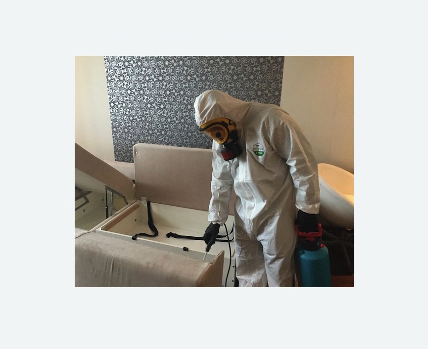 уничтожение клопов в квартире в Нолинске