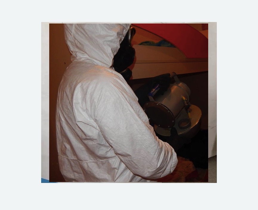 Дезинфекция от муравьев в Нолинске