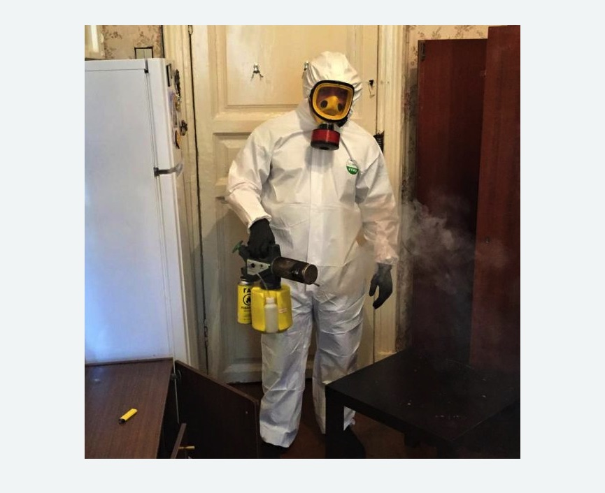 уничтожение муравьев в квартире в Нолинске